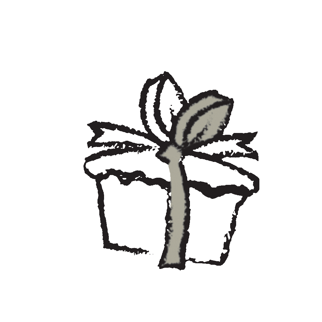 Decorative animated gift GIF