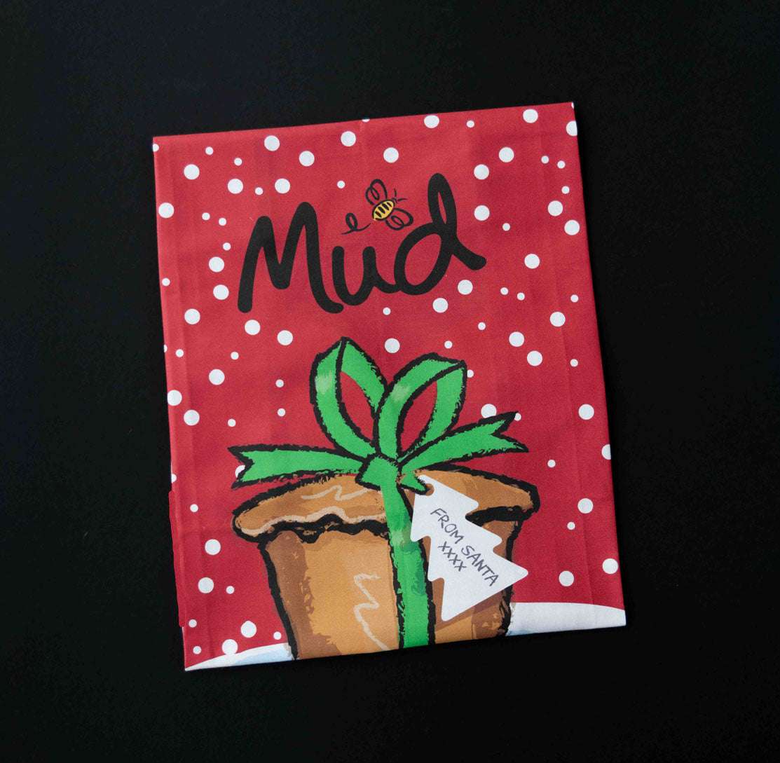 Mud Pies red gift box, snow-patterned, with bee logo and potted plant sketch, tied in a green bow with “From Santa xxx” tag.